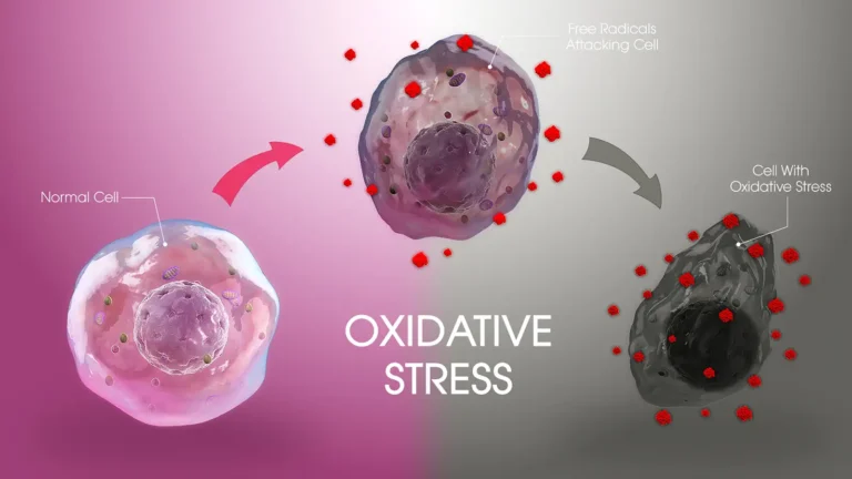 what Oxidative Stress looks like