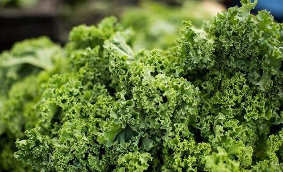 Foods That Help With Cholesterol