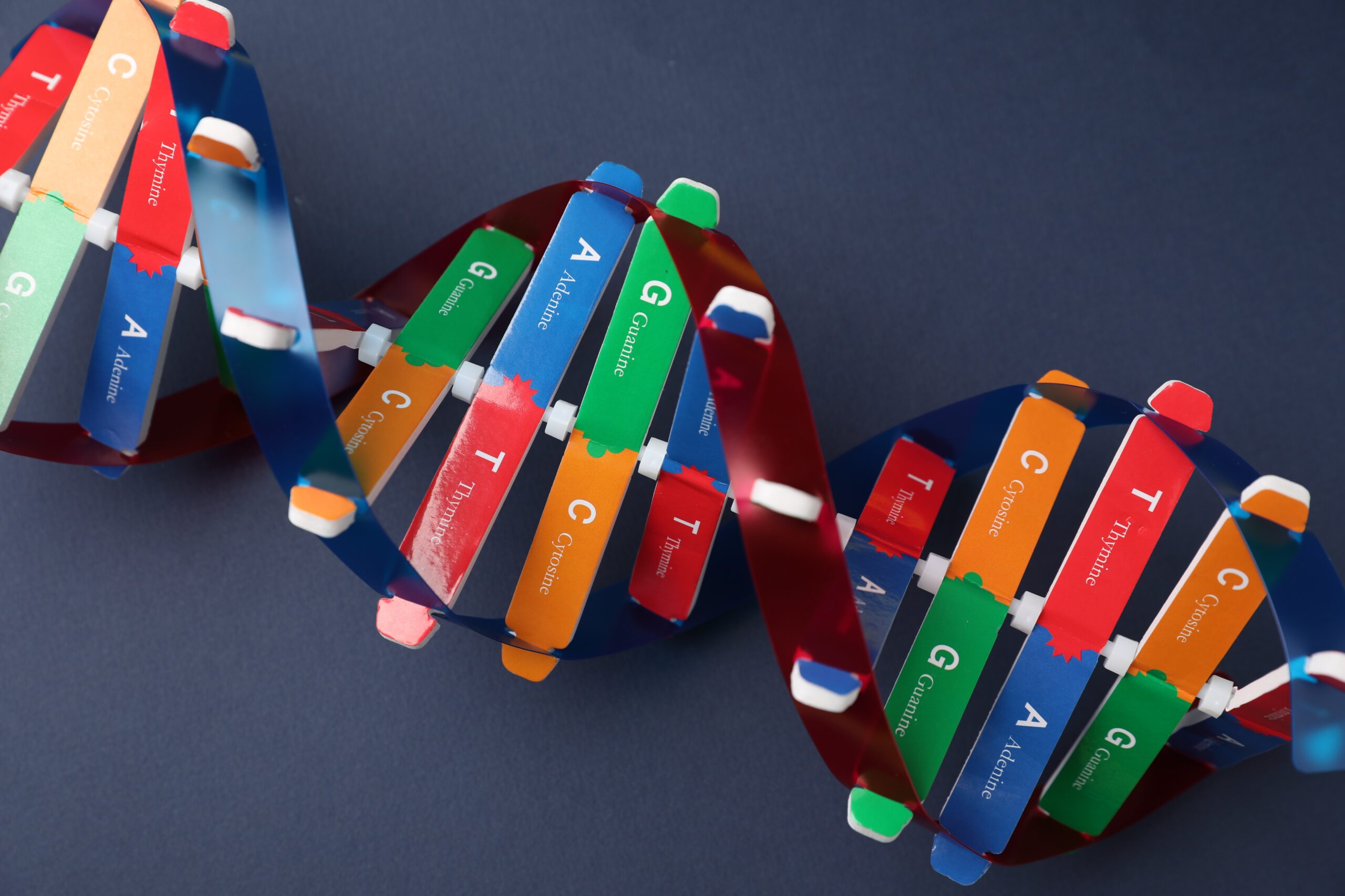 HeartWell Toolkits 1 colorful dna model on dark blue background 2026 03 26 23 56 22 utc scaled