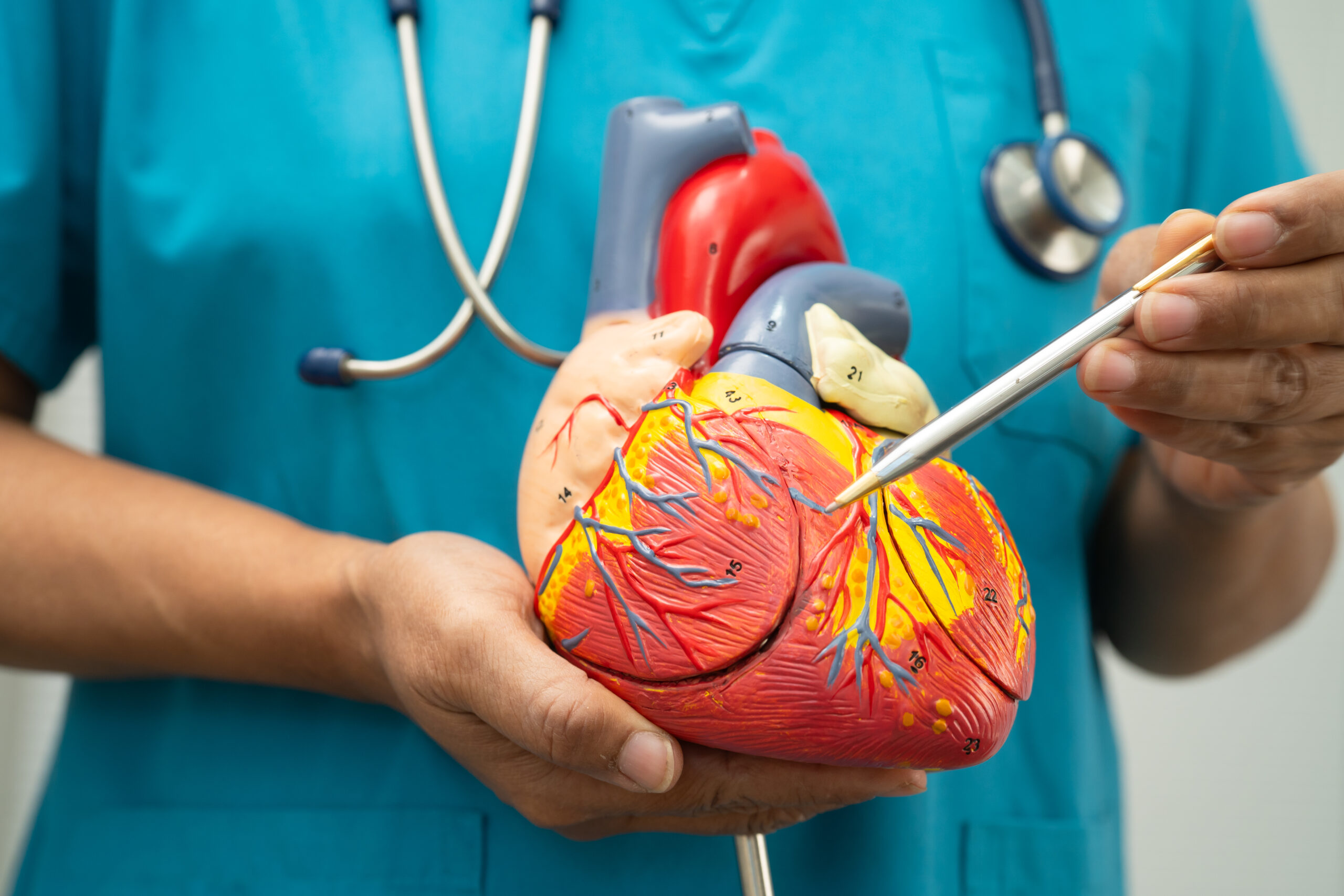 Getting to the root of coronary artery disease